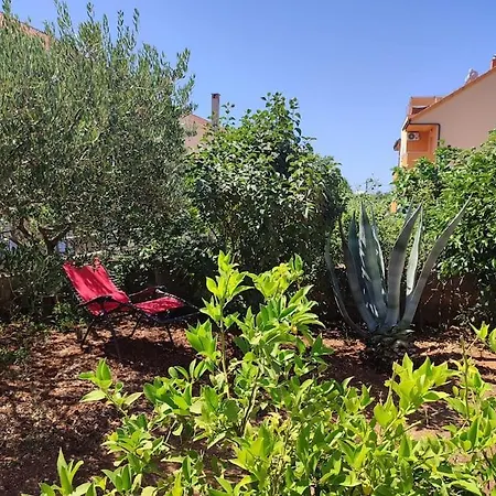Apartament Nera